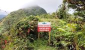 Excursión Senderismo Le Lorrain - Morne Jacob au Panneau ONF - Photo 1