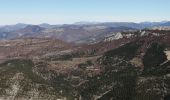 Randonnée Marche La Roche-sur-le-Buis - la montagne de Banne  - Photo 5