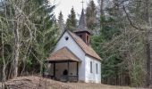 Tour Zu Fuß Liebenfels - Vierbergelauf - Photo 10