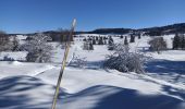 Tocht Sneeuwschoenen La Pesse - L'Embossieux-La Croix des couloirs-La Pesse - Photo 1