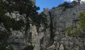 Trail Walking Castellane - Cadières de Brandis - Photo 4