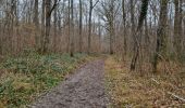 Trail Walking Noisy-sur-École - Noisy-sur-Ecole - Abris ornés et cavités diverses - Photo 2
