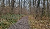 Excursión Senderismo Noisy-sur-École - Noisy-sur-Ecole - Abris ornés et cavités diverses - Photo 2