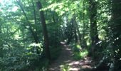 Randonnée Marche Olne - Forêt par la ligne de crête  - Photo 1