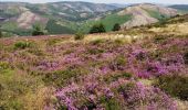 Trail Walking Saint-Martin-de-l'Arçon - le Caroux - Photo 11