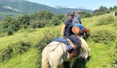 Excursión Paseo ecuestre Villanueva de Aezkoa - Hichiberri - Burguete/Auritze - Photo 16