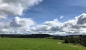 Tocht Stappen Vagney - Le Haut des Charmes , Tour des croix - Photo 1