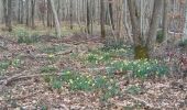 Trail Walking Fontainebleau - parcours des jonquilles - Photo 1