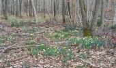 Randonnée Marche Fontainebleau - parcours des jonquilles - Photo 1