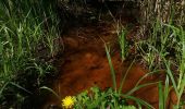 Trail On foot Jersbek - Durch Brook, Wald und Auen - Photo 7