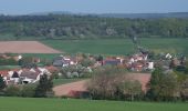 Tocht Te voet Bad Hersfeld - Stellerskuppenweg - Photo 1