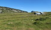 Tour Wandern Entremont-le-Vieux - Traversée des Hauts de Chartreuse - Photo 2