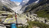 Excursión Senderismo Chamonix-Mont-Blanc - plan de l'aiguille montenvers 2021 - Photo 1