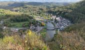 Trail Walking Vresse-sur-Semois - Semois 1 - Photo 9