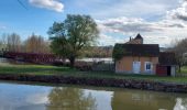 Tocht Stappen Courlon-sur-Yonne - Courlon 240319 - Photo 1