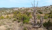 Excursión Senderismo Opoul-Périllos - cauna roja . perillos . château d´opoul  - Photo 13