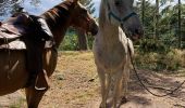 Trail Horseback riding Saint-Quirin - Camping st quirin belles roches abri Klein haut du bon Dieu halmoze lamperstein  - Photo 10