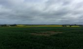 Tour Wandern Saint-Pierre-des-Fleurs - 20240409-StPierre des Fleurs Cool - Photo 16