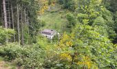 Trail Walking Monschau - Tour de Monschau 20Km - Photo 15