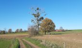 Tour Wandern Nivelles - monstreux  - Photo 12