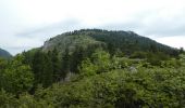 Randonnée Marche Châtillon-en-Diois - Montagne de Beaupuy - Nonnières - Photo 14