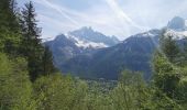 Trail Walking Chamonix-Mont-Blanc - CHAMONIX ... la Floria.  - Photo 3