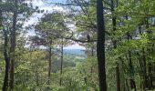 Trail Walking Jalhay - mon 8 de la statte  - Photo 6