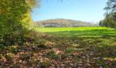 Tour Wandern Jemeppe-sur-Sambre - Spy 051124 - Photo 11