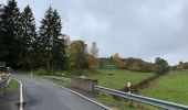 Randonnée A pied Blankenheim - Wacholderweg - Photo 6