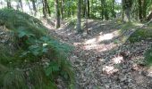 Trail On foot Maasmechelen - Mechels Bos Paarse trapezium - Photo 4