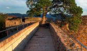 Tour Zu Fuß Bensheim - Rundwanderweg Bensheim Auerbacher Schloss 3: Mühltal-Weg - Photo 7