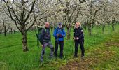 Trail Walking Schliengen - Rando de Cerisiers et BLAUEN...20/04/2023 - Photo 10