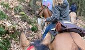 Trail Horseback riding Gresswiller - Cva 18 février 24 Tivio  - Photo 1