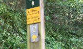 Trail Walking Rochechinard - Pré 5 sous, retour par le chateau - Photo 2