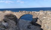 Tour Wandern Port-Vendres - les batteries . collioure . fort sant elme . port vendres . cap gros - Photo 2