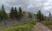 Trail Walking Véranne - sentier des crets du Mont Pilat  - Photo 3
