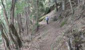 Trail Walking Planès - planes parcours botanique - Photo 4