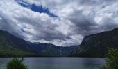 Percorso Marcia Bohinj - lac de Bohinj - Photo 6