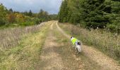 Trail Walking Habay - Le grand ruisseau  - Photo 4