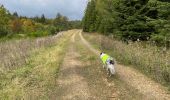 Randonnée Marche Habay - Le grand ruisseau  - Photo 4