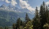 Tocht Stappen Chamonix-Mont-Blanc - Les Tines ,les Bois,les Mottets,Chamonix et retour par petit balcon sud - Photo 1