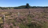 Tour Wandern Saint-Merd-les-Oussines - Correze Mille Vache Longeyroux - Photo 5