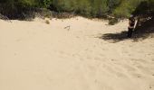 Trail Walking Saint-Cyr-sur-Mer - Dune de sable  - Photo 10