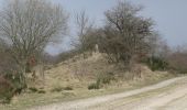 Tocht Te voet Harrislee - Rundweg 1, Stiftungsland Schäferhaus - Photo 4