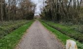 Trail Walking Feillens - Montgrimoux chevroux  - Photo 1