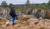 Trail Walking Viroinval - Balade dans le Viroinval - Photo 4