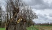 Tocht Stappen Leuze-en-Hainaut - ADEPS - Willaupuis - Photo 1