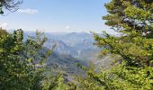 Excursión Senderismo Chorges - Bois du Ruban (Clot Clavary - crête du Ruban) - Photo 7