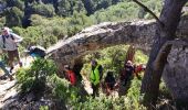 Tour Wandern Saint-Rémy-de-Provence - St Rémy de Provence  - Photo 12