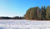 Tour Zu Fuß Äänekoski - Laulava Mörön Polku - Photo 5